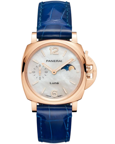 Pam01181_Cat_Front_C_2303500-Photoroom